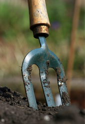 fork