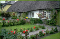 Nottingham Gardener